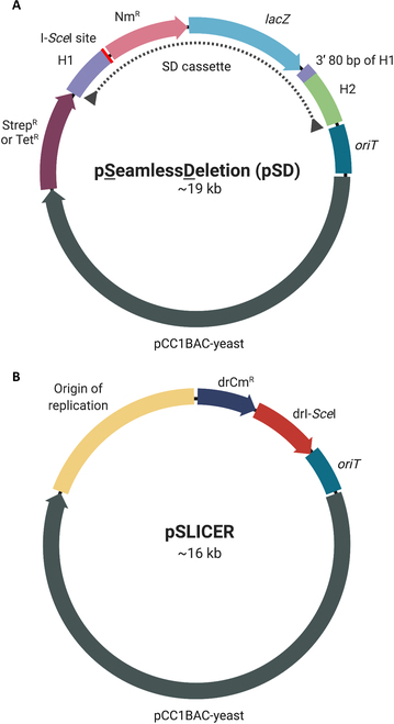 Fig. 1.