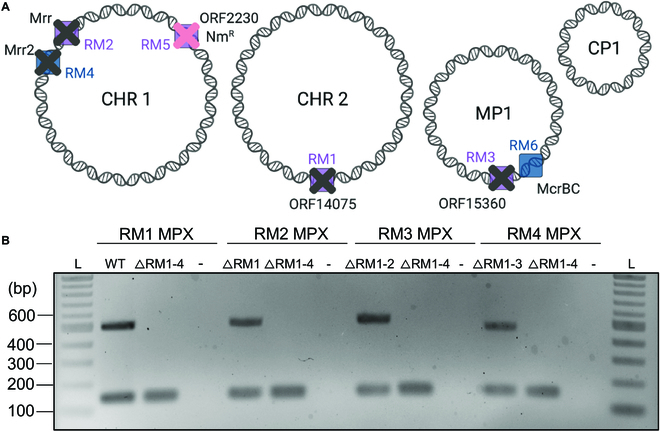 Fig. 4.