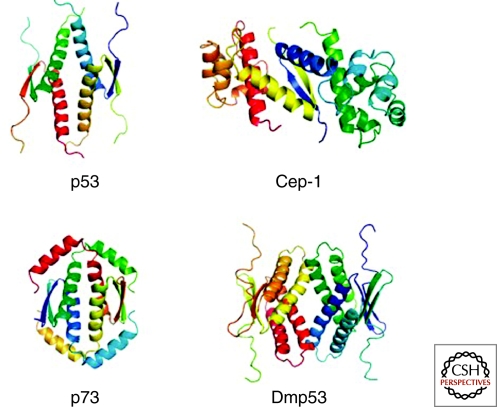 Figure 2.