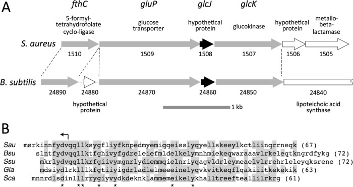 FIG 7