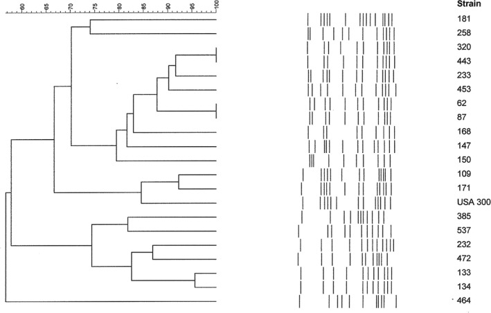 FIGURE 2