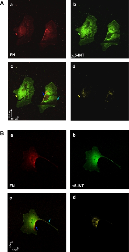 Fig. 8.