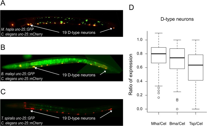 Fig 3