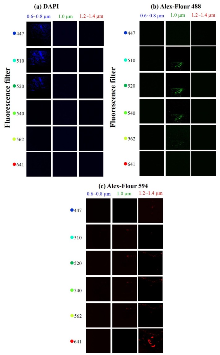 Fig. 4