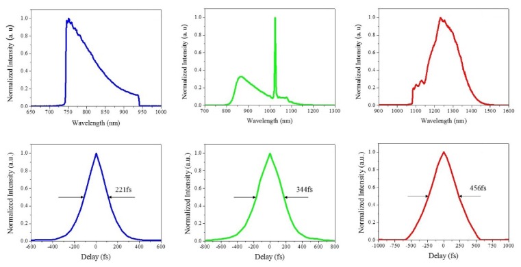 Fig. 3