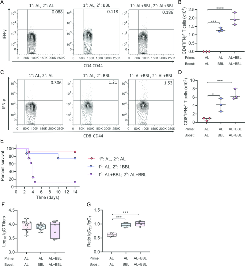 Figure 4: