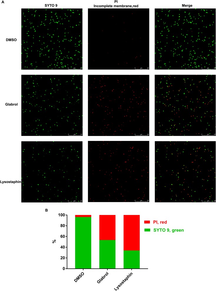 FIGURE 6