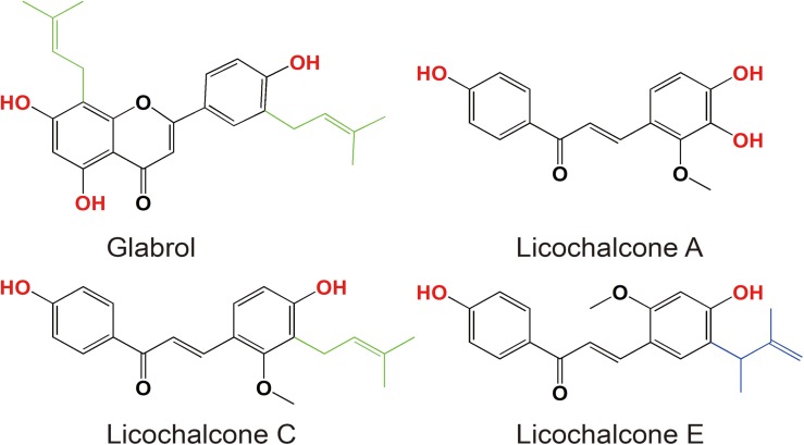 FIGURE 1