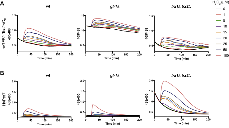 Figure 4