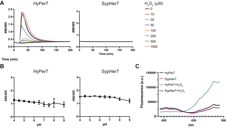 Figure 3