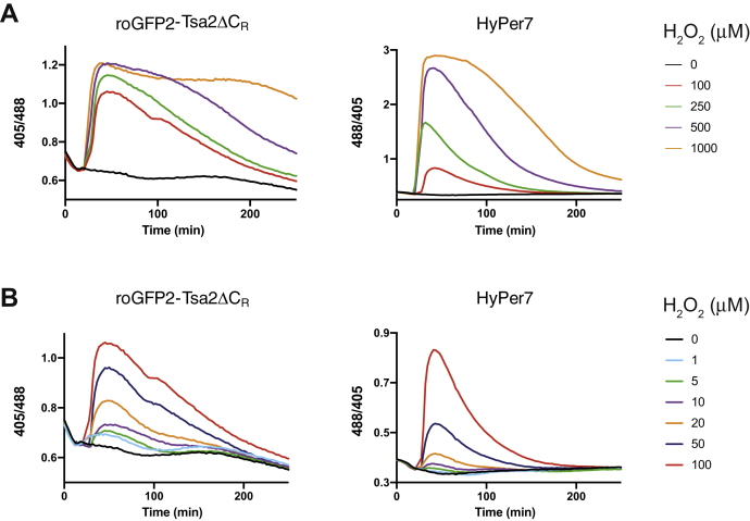 Figure 2