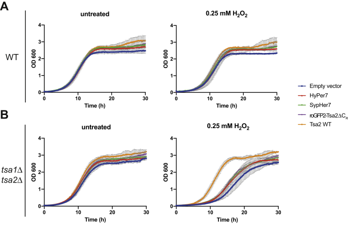 Figure 5