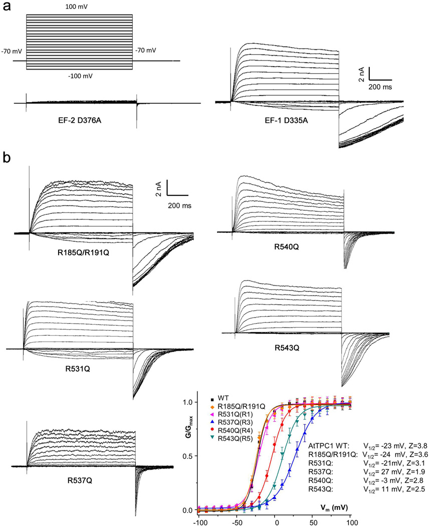 Extended Data Figure 6