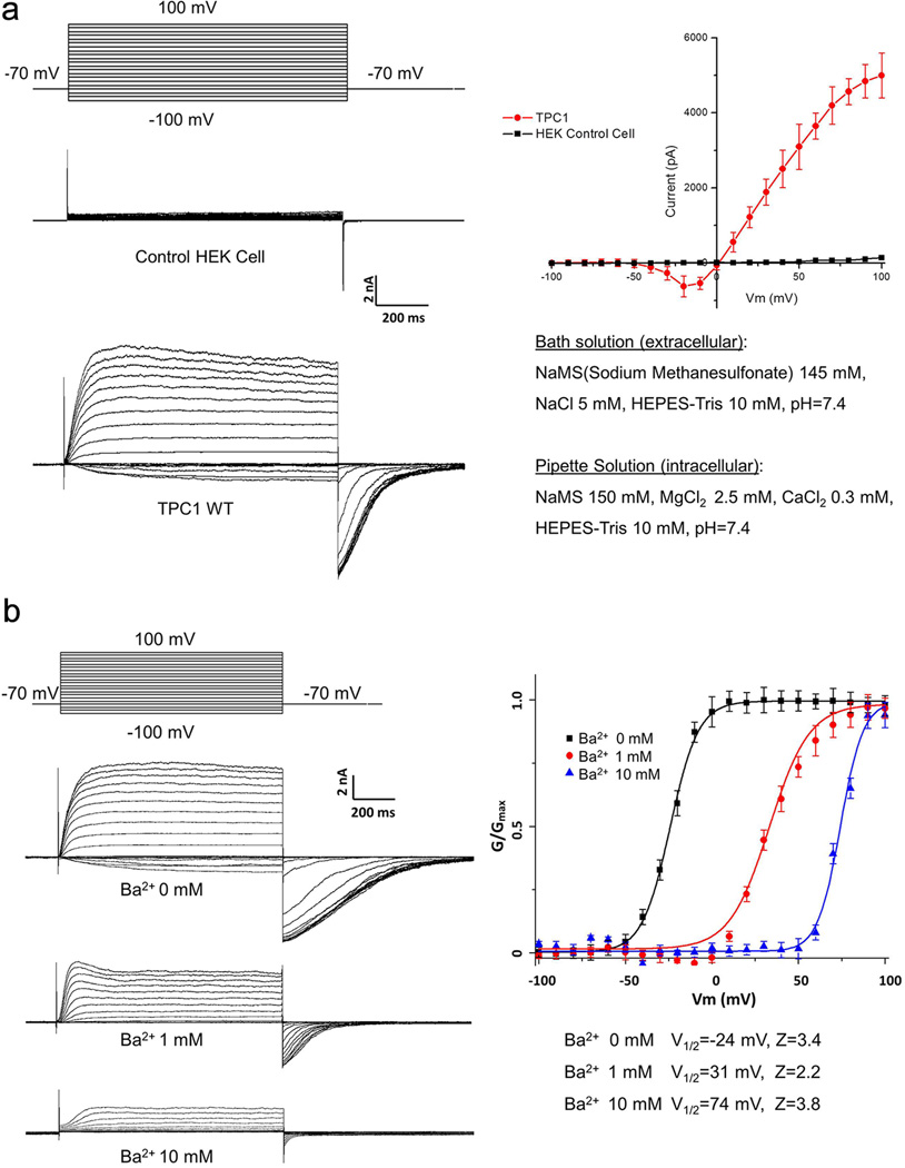 Extended Data Figure 2