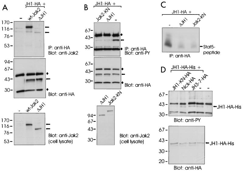 FIG. 6