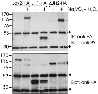 FIG. 5