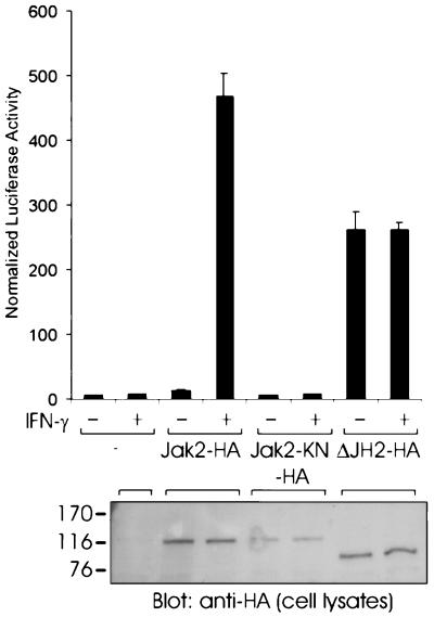 FIG. 7