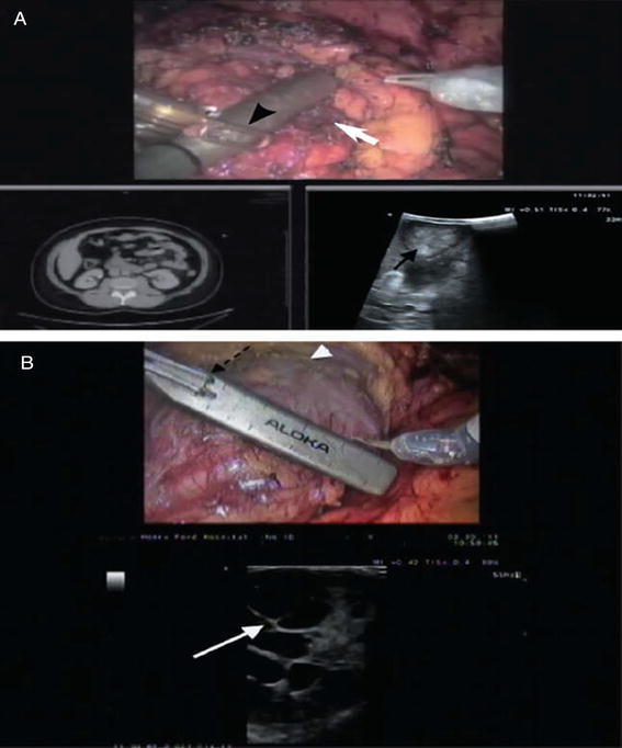 Fig. 7