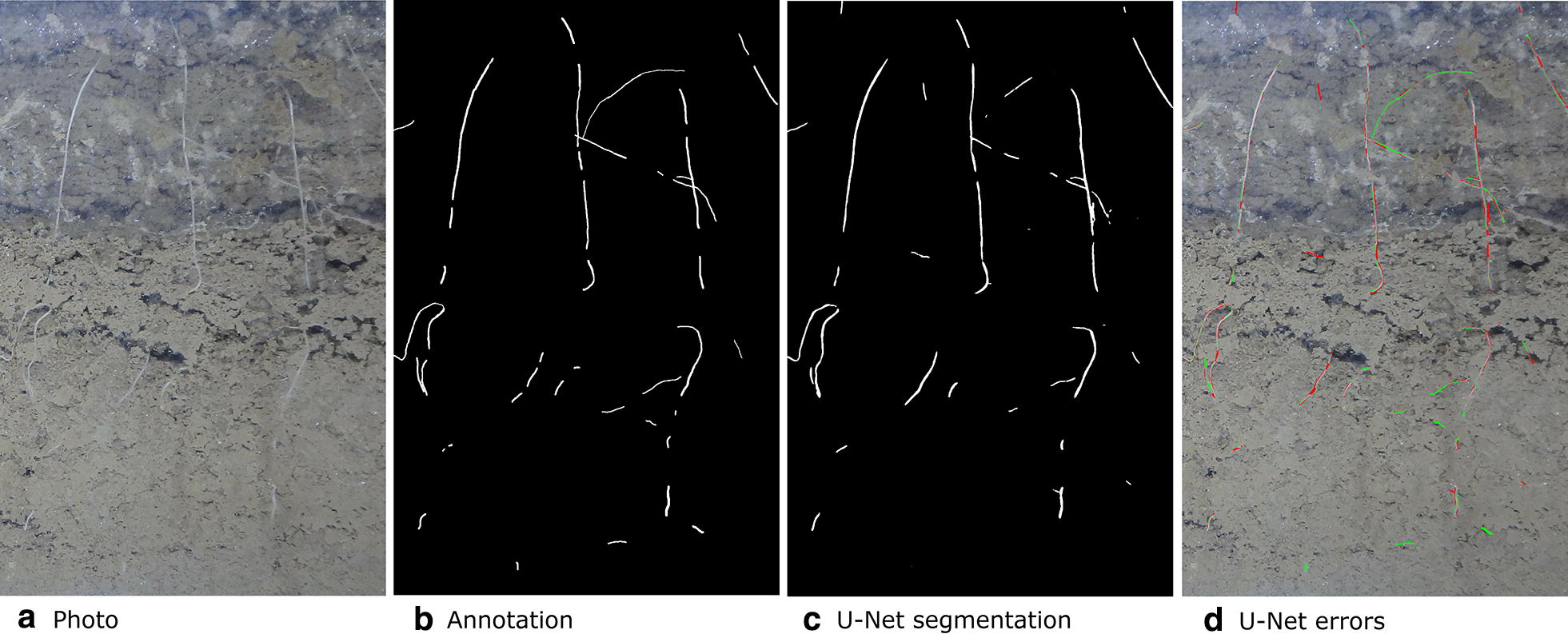 Fig. 7