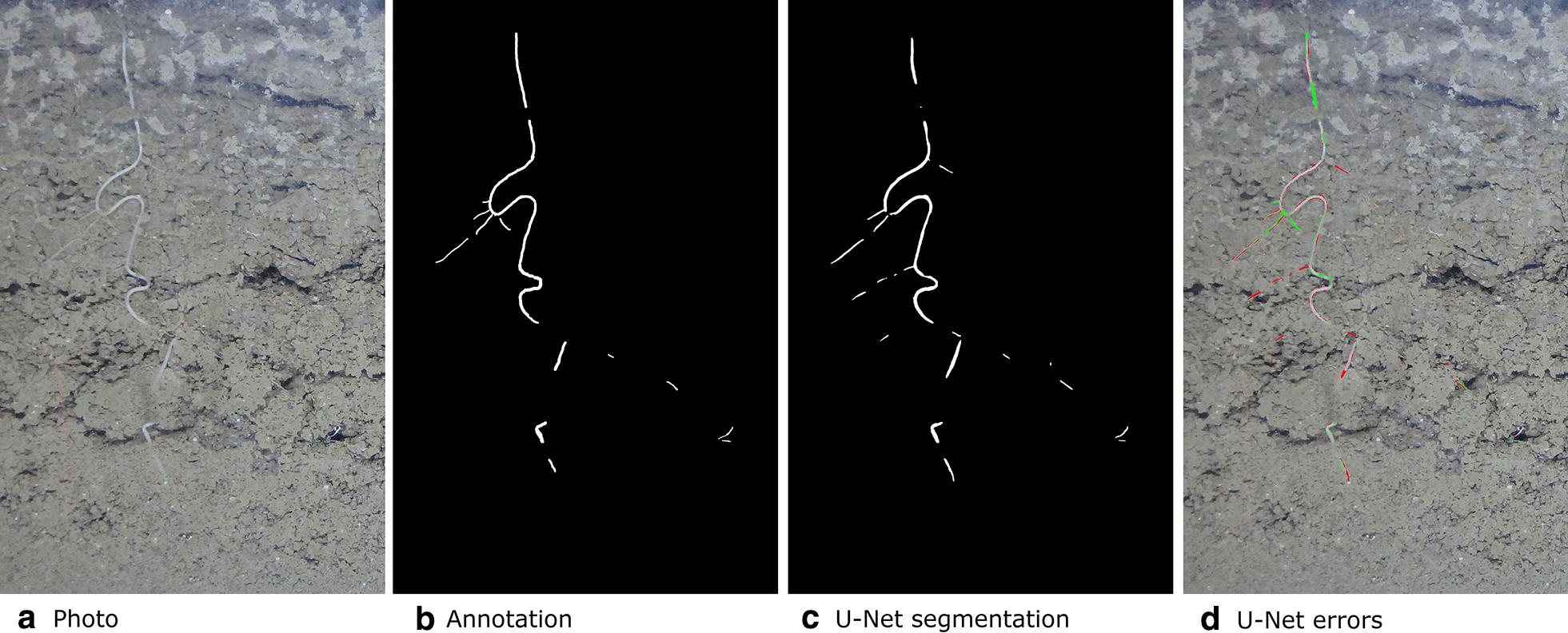 Fig. 8