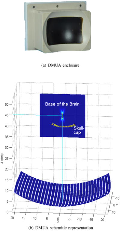 Fig. 1