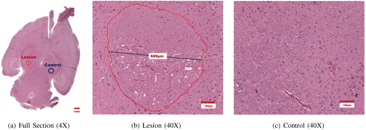 Fig. 6