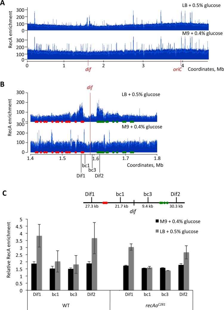 Fig 4