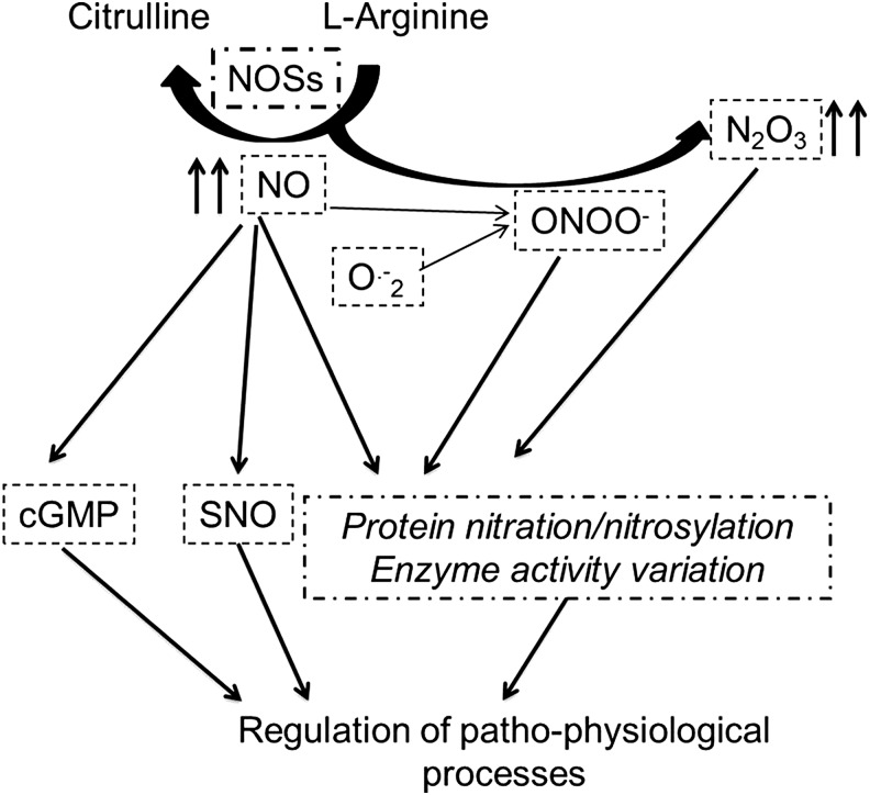 FIG. 10.