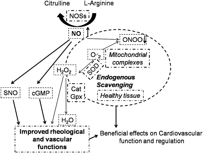 FIG. 8.