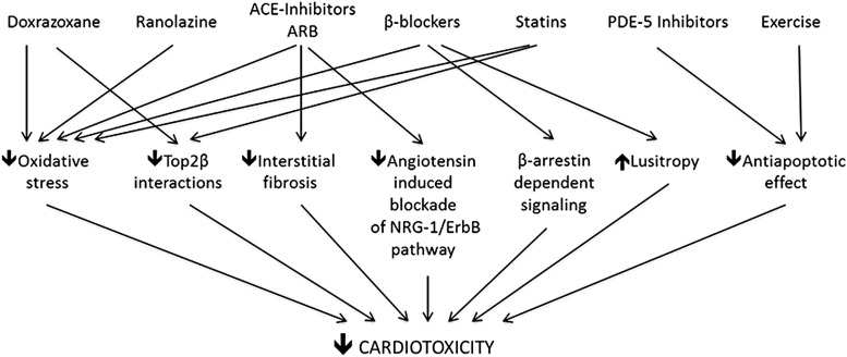 FIG. 11.