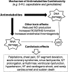 <b>FIG. 7.</b>