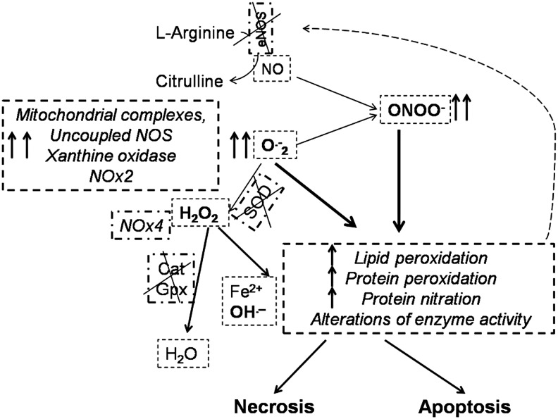 FIG. 9.