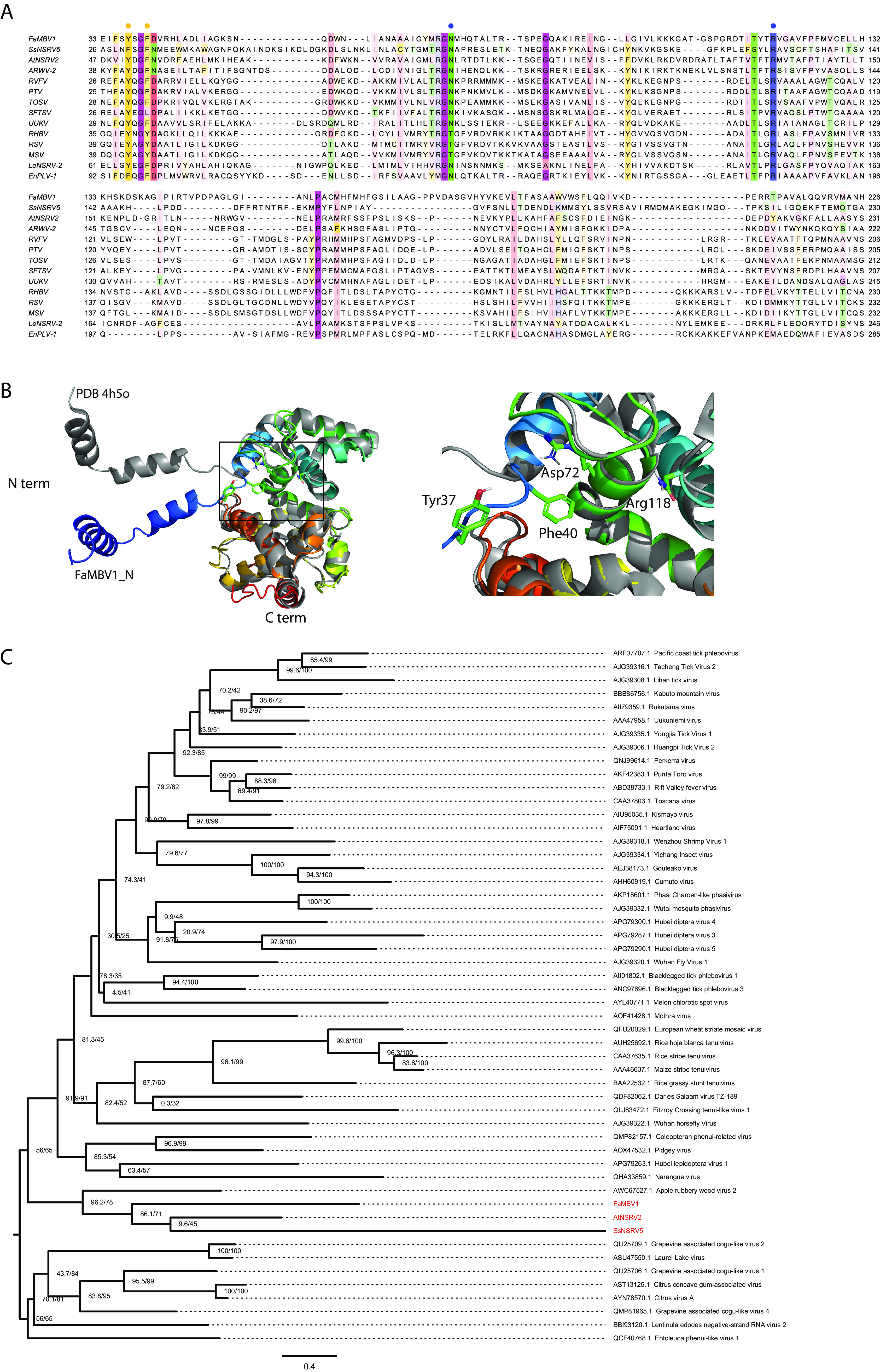 FIG 8