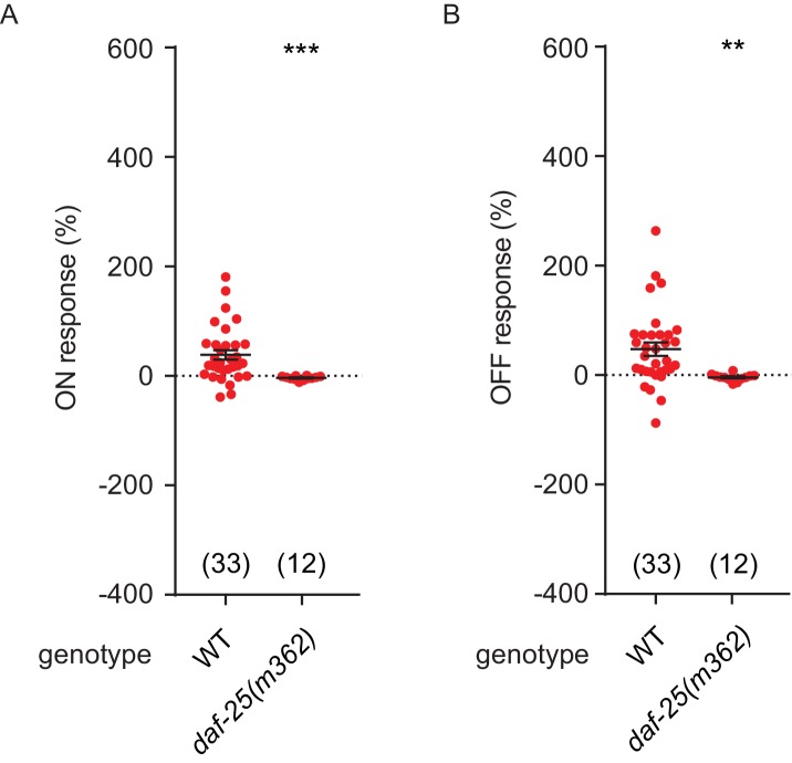 Figure 6—figure supplement 1.