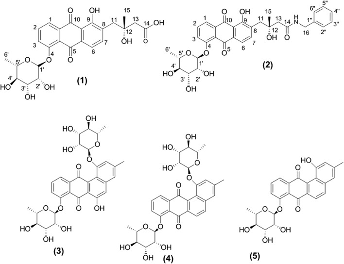 Fig. 3