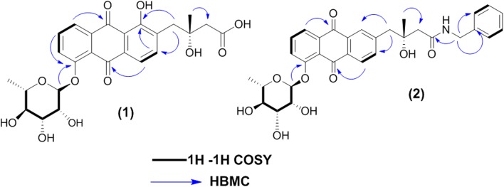 Fig. 4