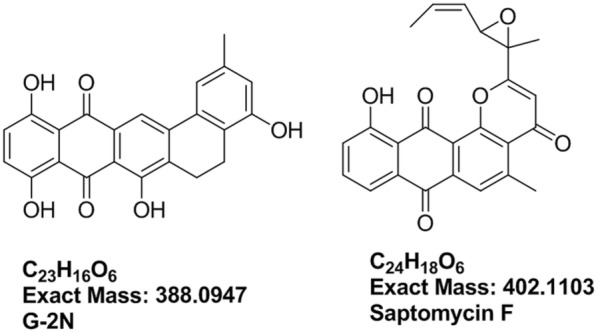 Fig. 1