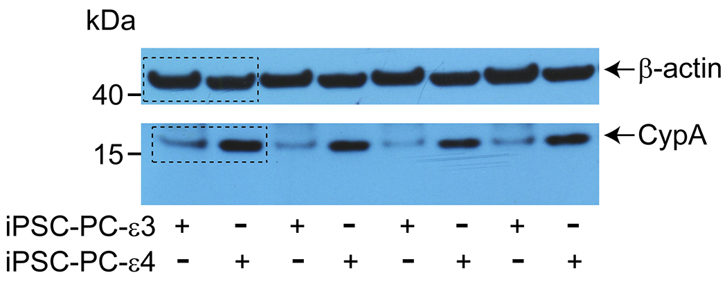 Extended Data Figure 8.