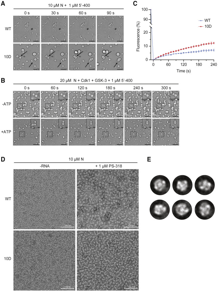 Figure 4