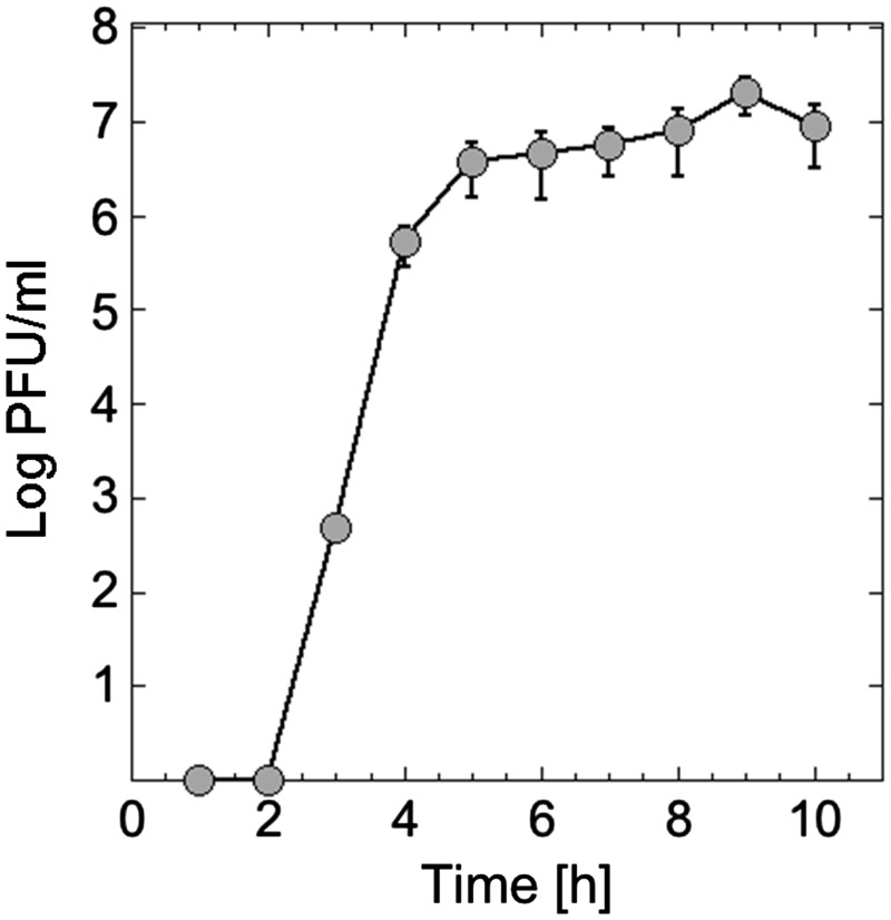 Figure 2.