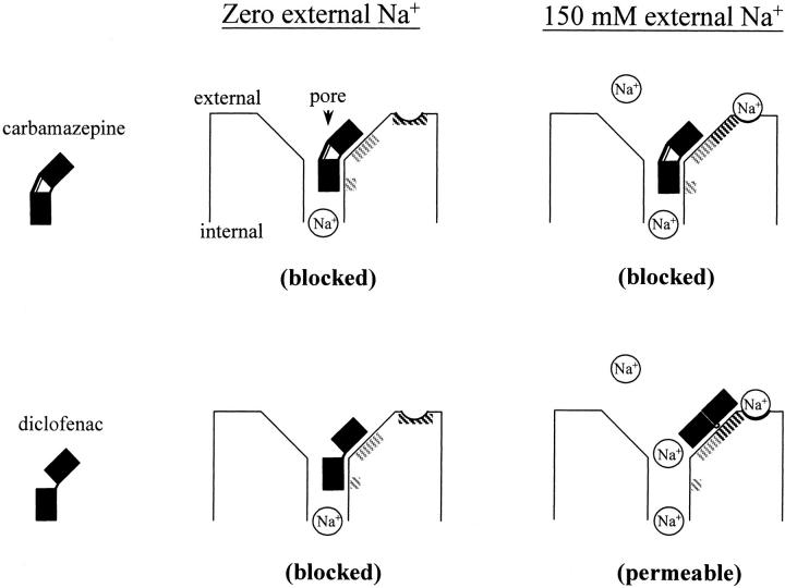 Figure 11. 