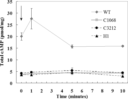 FIG. 3.