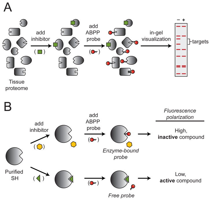 Fig. 32