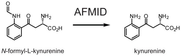 Fig. 16