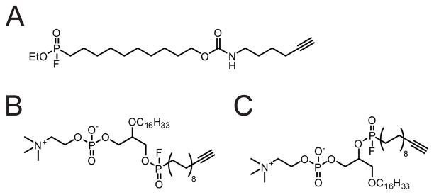 Fig. 33