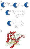 Fig. 2