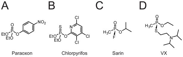 Fig. 19