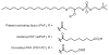 Fig. 11