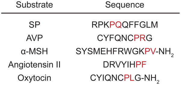 Fig. 21