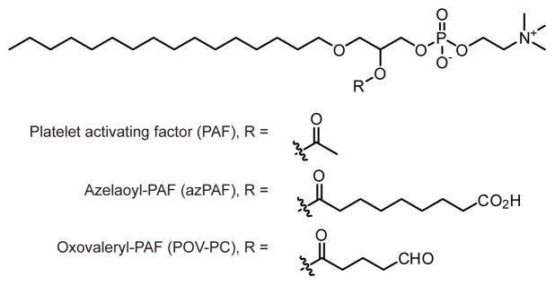 Fig. 11